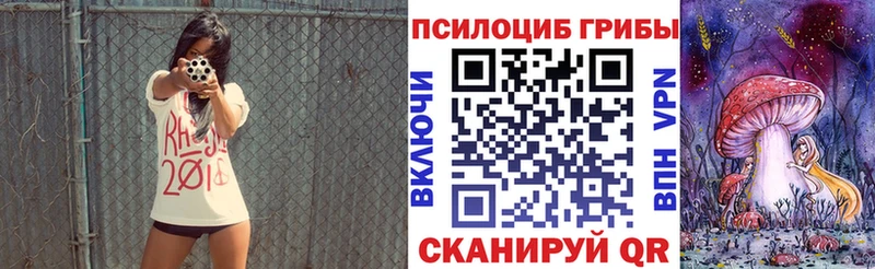 Купить закладки  Советский  Галлюциногенные грибы Magic Shrooms 