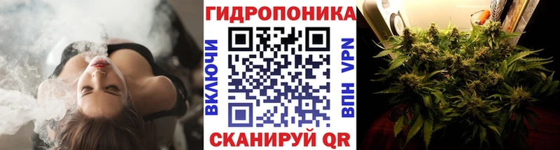 Купить  Советский  Шишки марихуана семена 